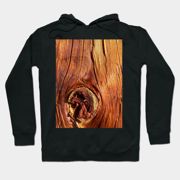 Wood Bark Wood Trunk Nature Hoodie by BurunduXX-Factory